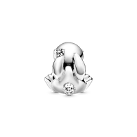 Charm Pandora Pandora Moments in Argento 798763C00 - 798763C00